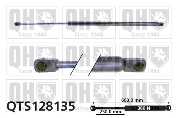 QUINTON HAZELL dujinė spyruoklė, bagažinė QTS128135